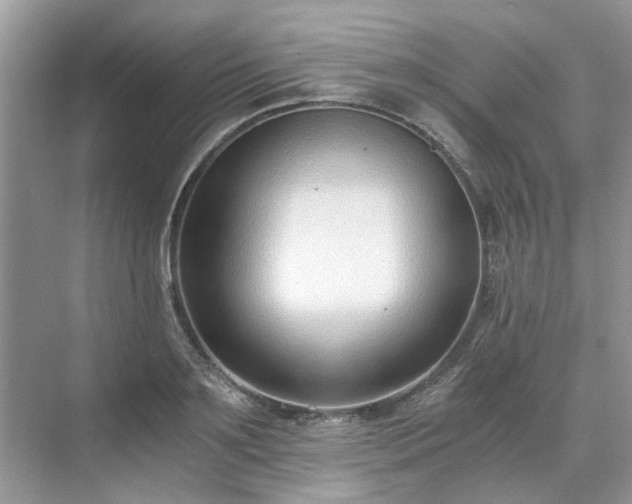 X0000071350891200606301649