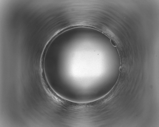 X0000071350892200606301649