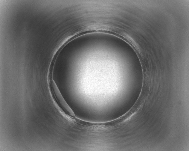 X0000071350893200606301649