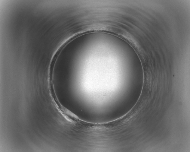 X0000071350894200606301649