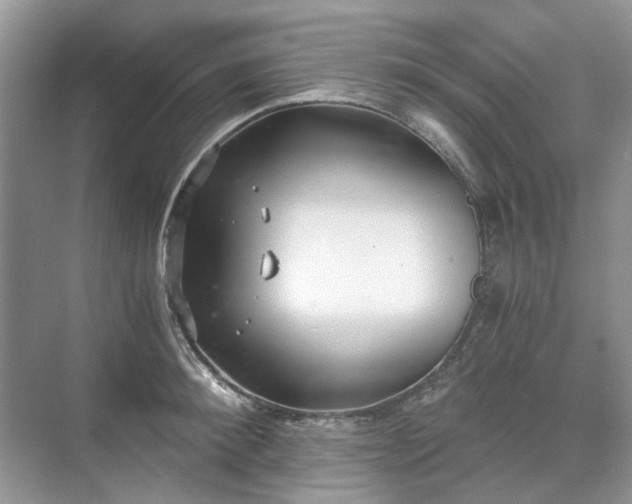 X0000071350900200606301649