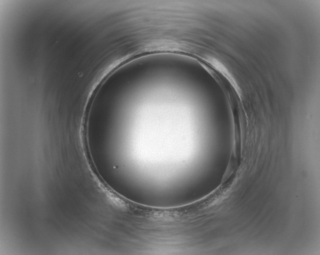 X0000071350901200606301649