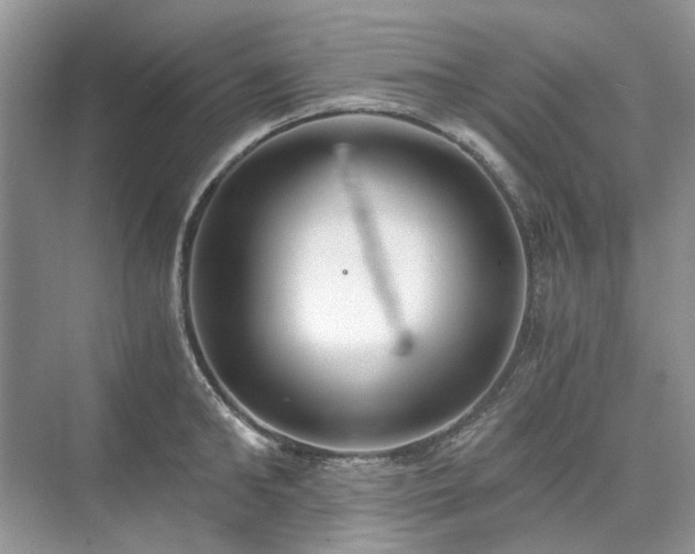 X0000071350902200606301649