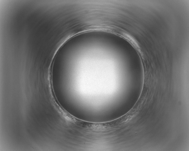 X0000071350907200606301649