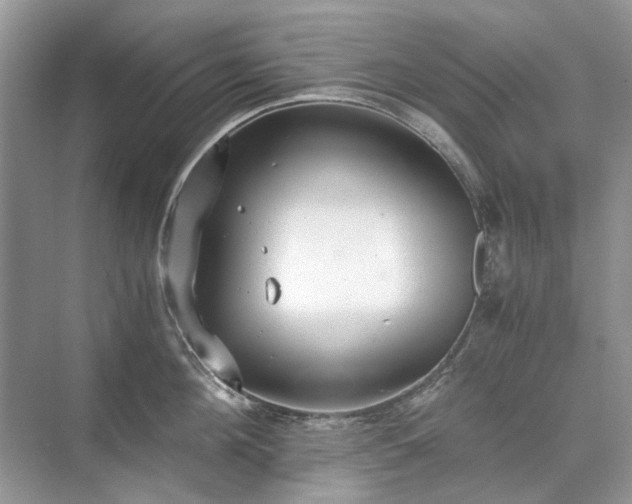 X0000071350908200606301649