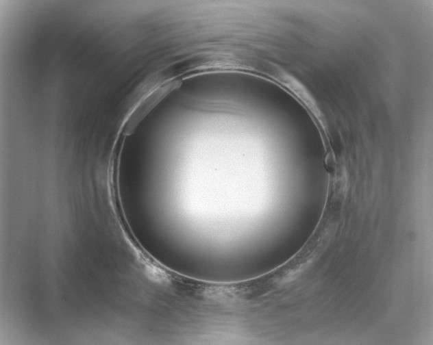 X0000071350909200606301649