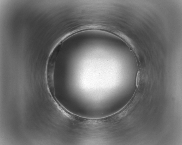 X0000071350910200606301649