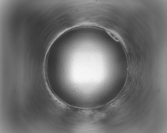 X0000071350911200606301649