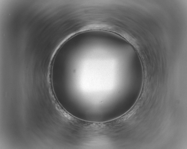 X0000071350912200606301649