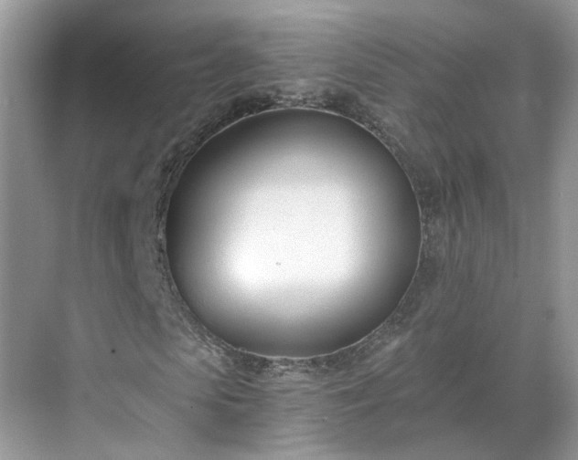 X0000071350913200606301648