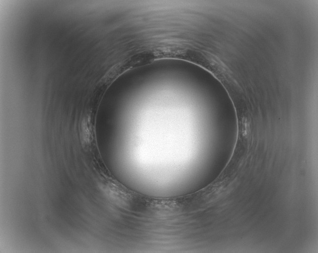 X0000071350915200606301648