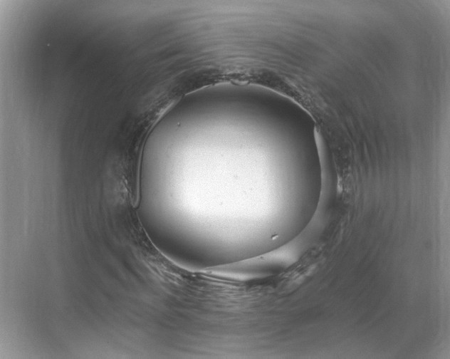 X0000071350916200606301648