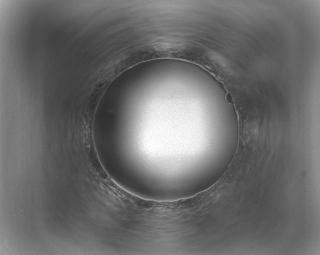 X0000071350917200606301648