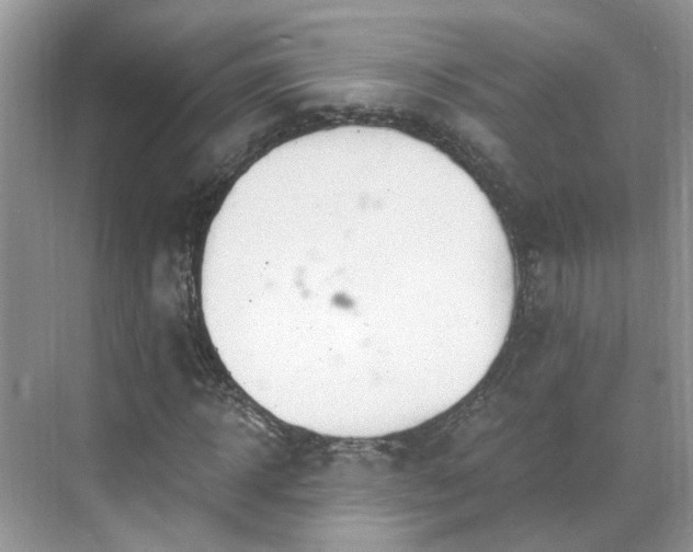 X0000071350918200606301648