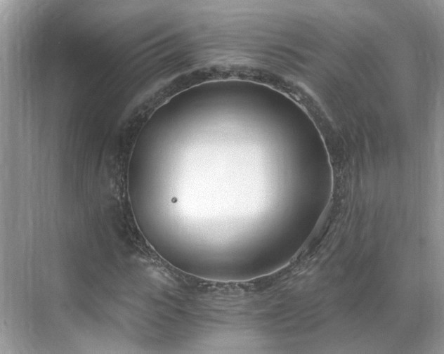 X0000071350919200606301648