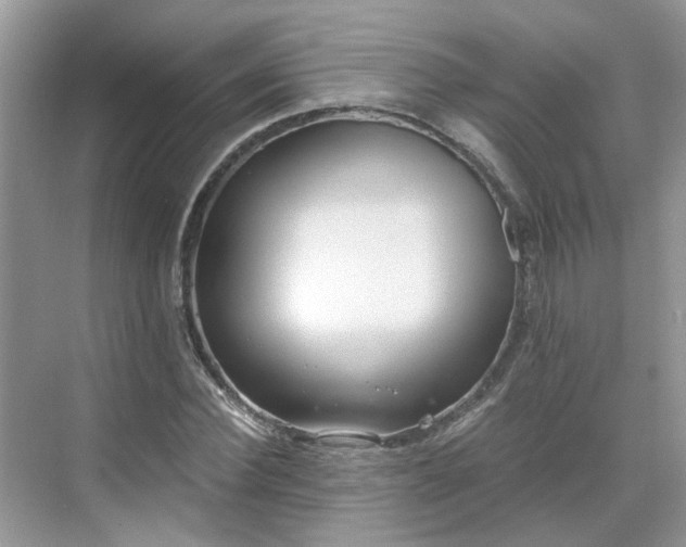 X0000071350924200606301648