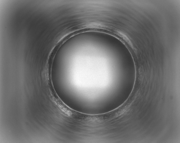 X0000071350931200606301648