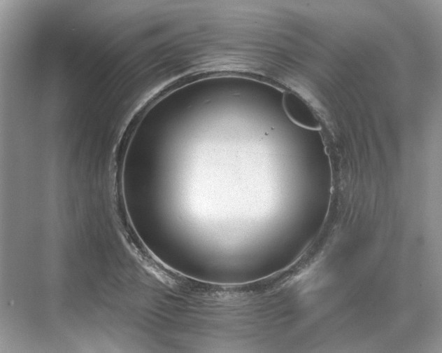 X0000071350933200606301648