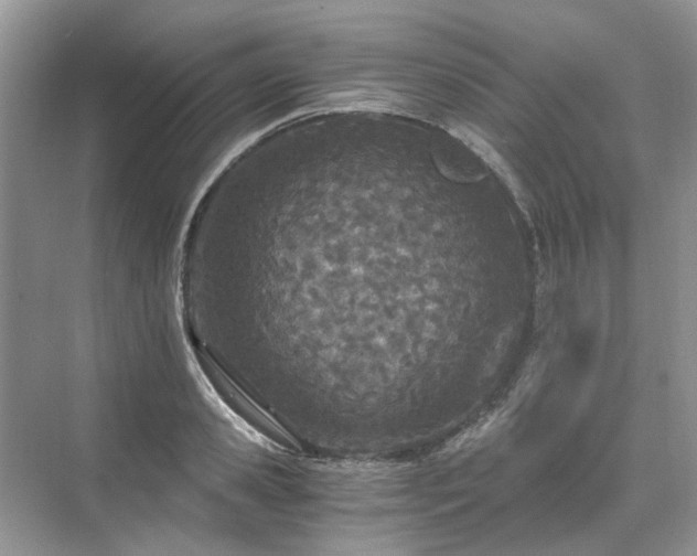 X0000071350941200606301648