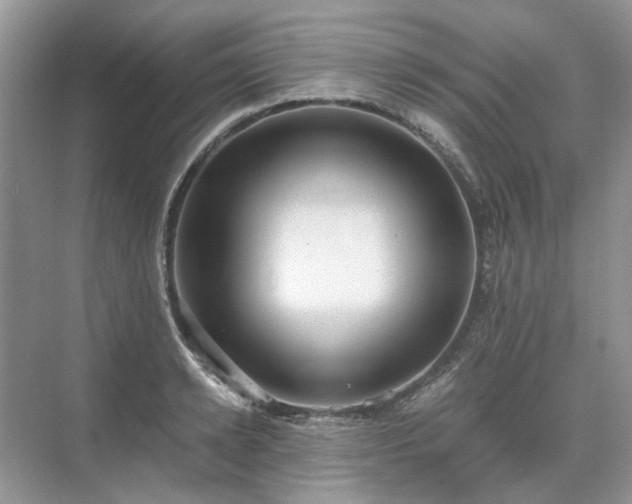 X0000071350942200606301649