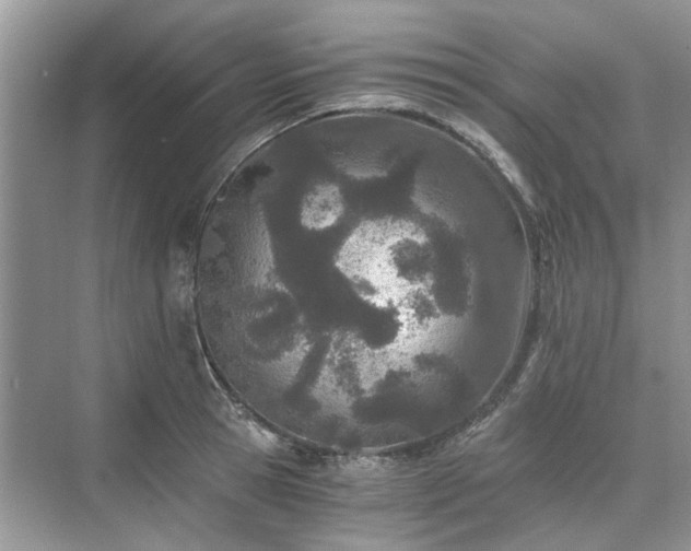 X0000071350945200606301649