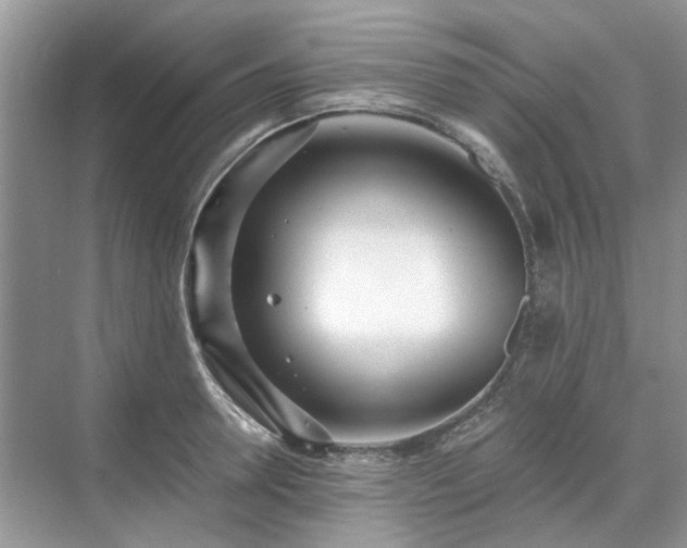 X0000071350946200606301649