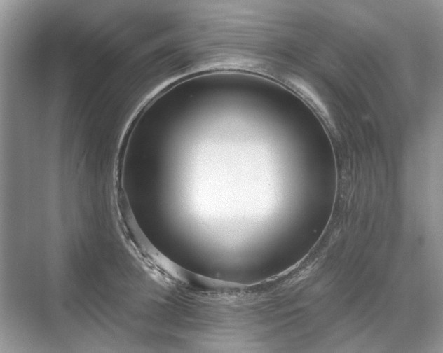 X0000071350948200606301649