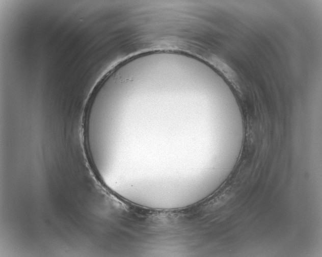 X0000071350950200606301649