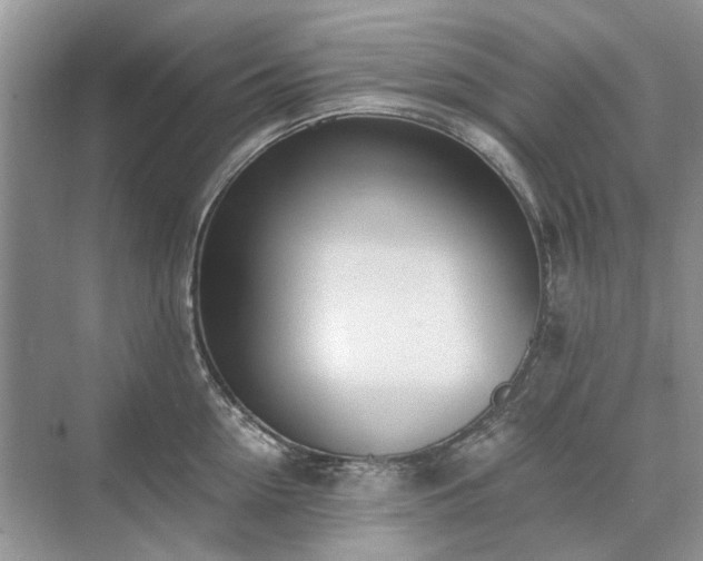 X0000071350954200606301649