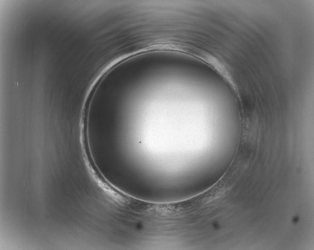 X0000071350955200606301649