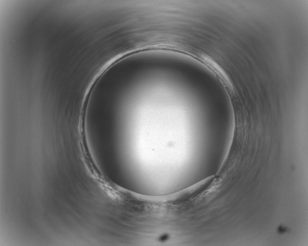 X0000071350956200606301649