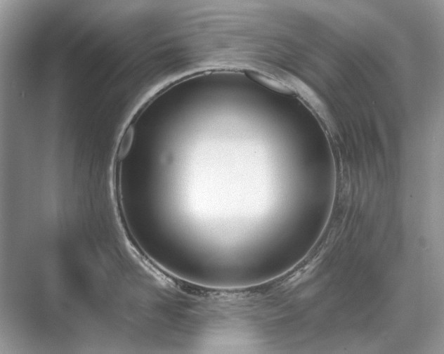 X0000071350958200606301649