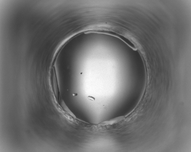 X0000071350960200606301649