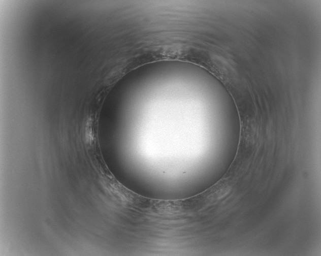 X0000071350962200606301648