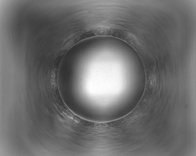 X0000071350964200606301648