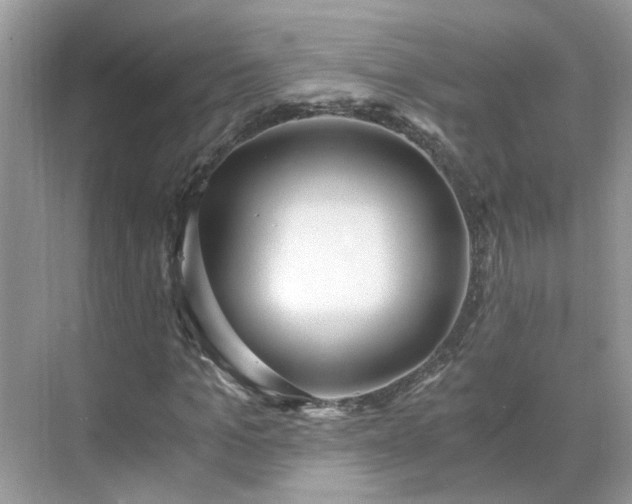 X0000071350965200606301648