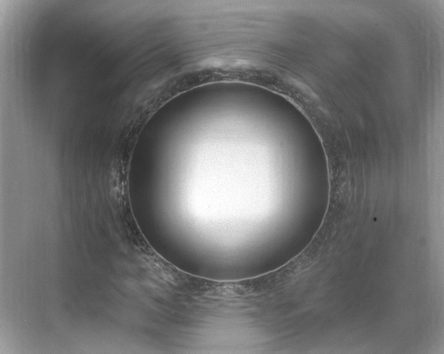 X0000071350966200606301648