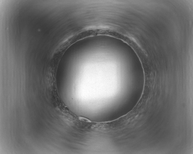 X0000071350967200606301648