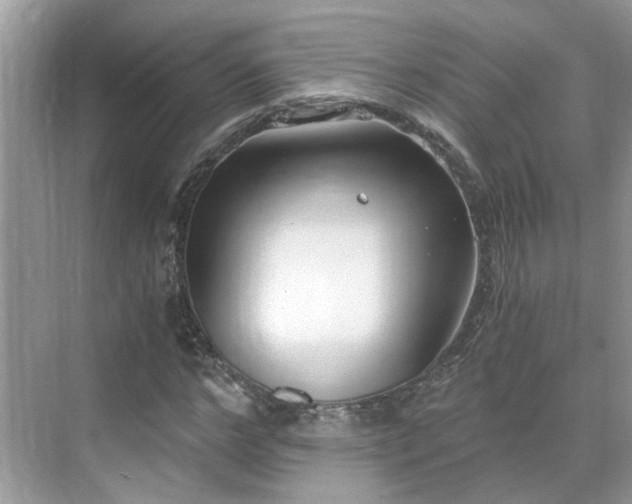 X0000071350968200606301648