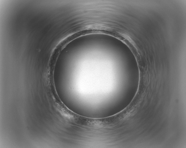 X0000071350971200606301648