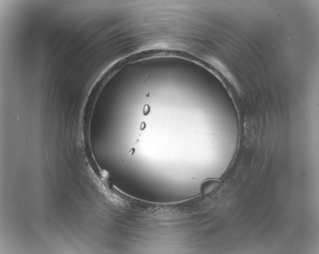 X0000071350972200606301648