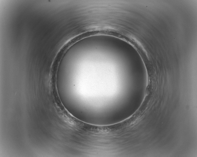 X0000071350975200606301648