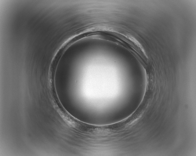 X0000071350981200606301648