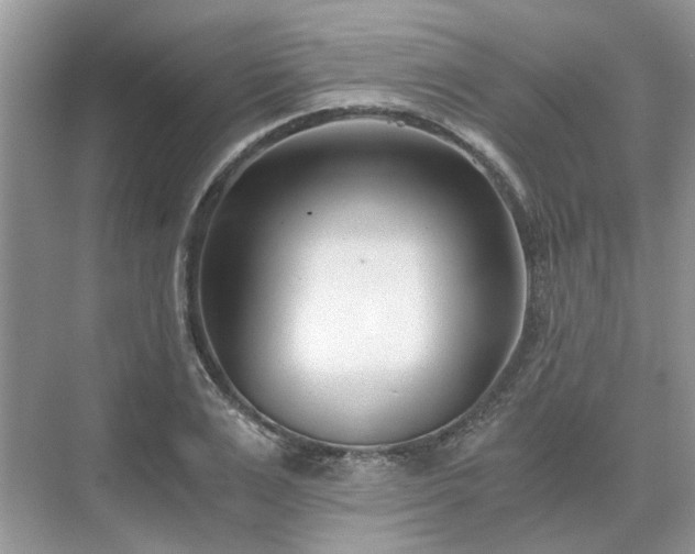 X0000071350983200606301648