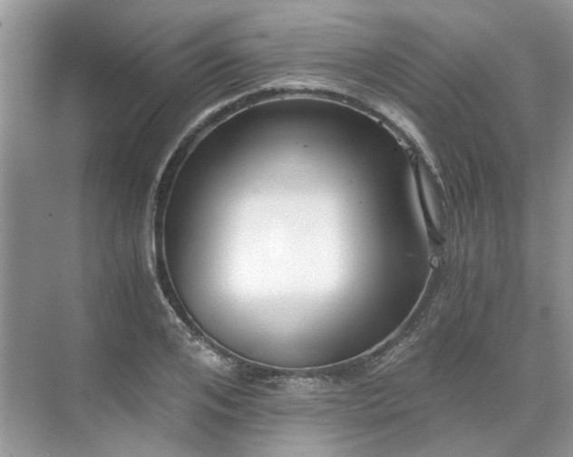 X0000071350984200606301648