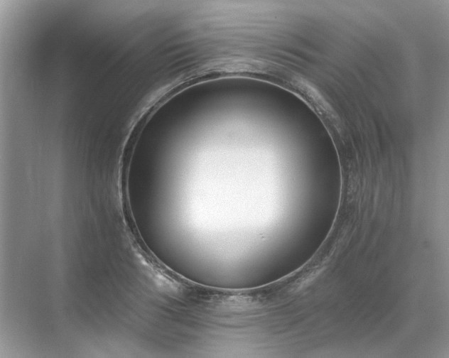 X0000071350986200606301648