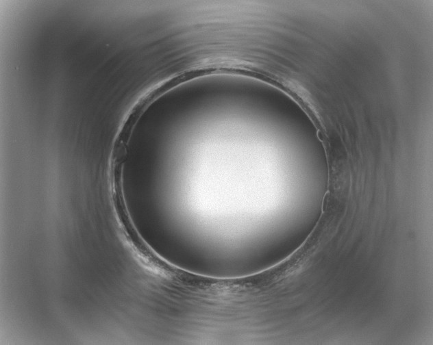 X0000071350987200606301648