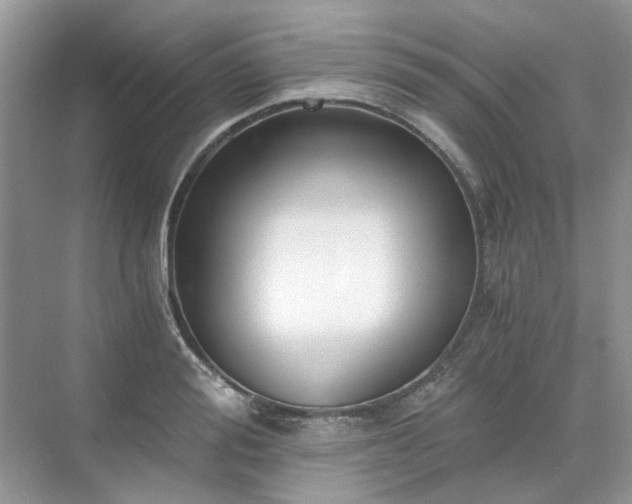 X0000071350988200606301648