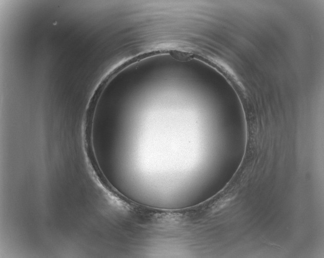 X0000071350991200606301648