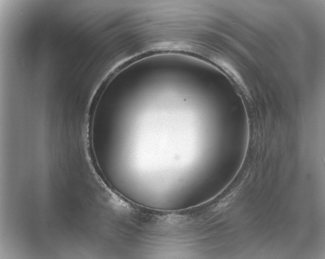 X0000071350992200606301647